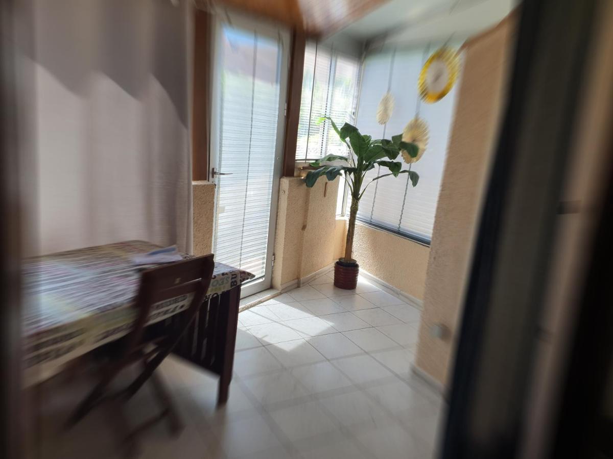 Villa Mjp 463 ナルボンヌ・プラージュ エクステリア 写真